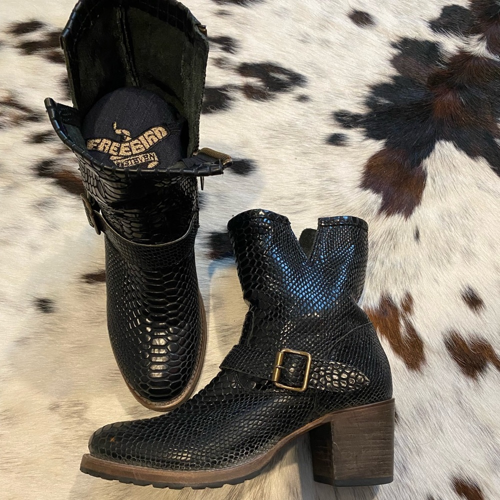 Black Snake Carlitos Freebird